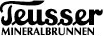 Teusser